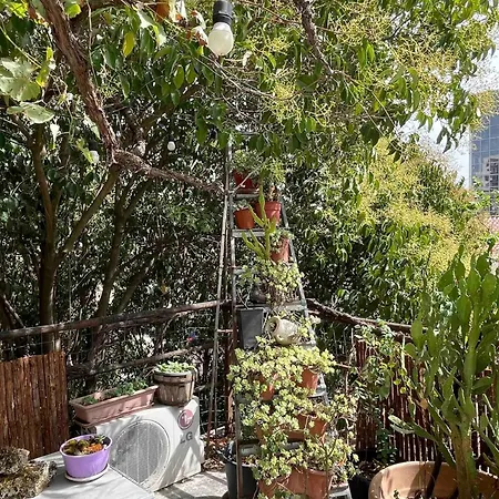 Albania Dream Holidays H *